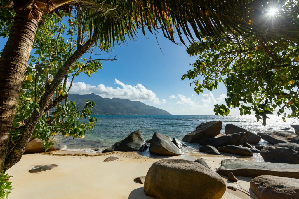 Essential customs rules and restrictions for entering Seychelles